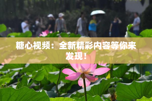 糖心视频：全新精彩内容等你来发现！