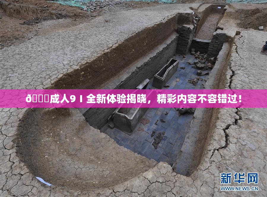 🔞成人9Ⅰ全新体验揭晓，精彩内容不容错过！