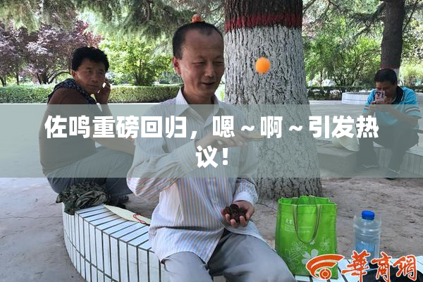 佐鸣重磅回归，嗯～啊～引发热议！