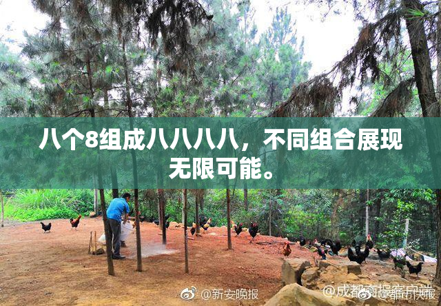 八个8组成八八八八，不同组合展现无限可能。