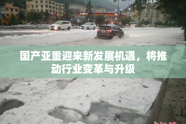 国产亚重迎来新发展机遇，将推动行业变革与升级