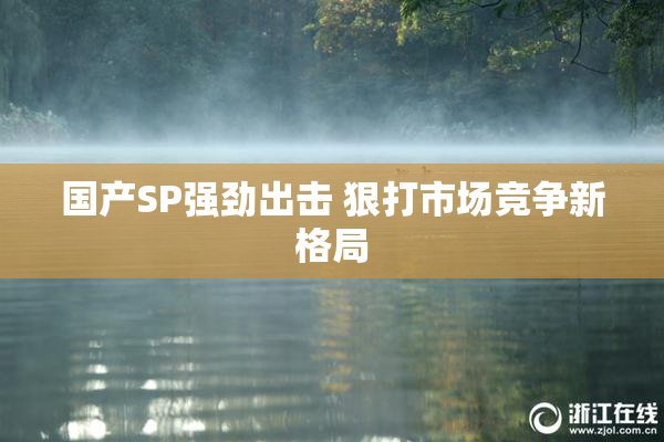 国产SP强劲出击 狠打市场竞争新格局