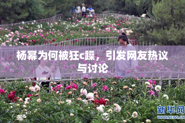 杨幂为何被狂c躁，引发网友热议与讨论