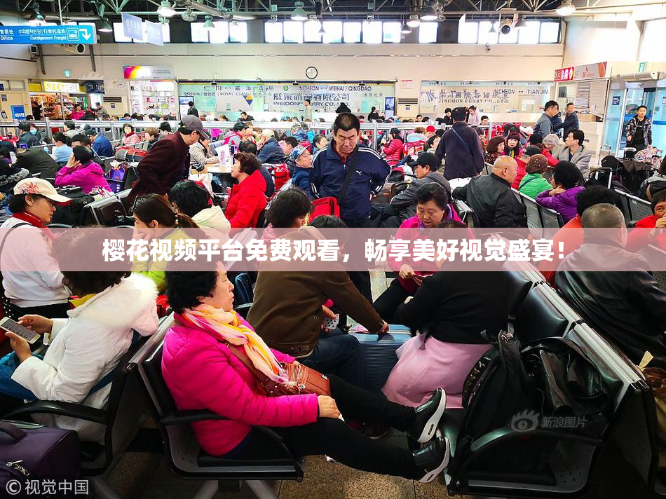 樱花视频平台免费观看，畅享美好视觉盛宴！