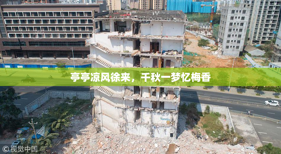 亭亭凉风徐来，千秋一梦忆梅香