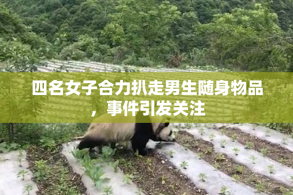 四名女子合力扒走男生随身物品，事件引发关注