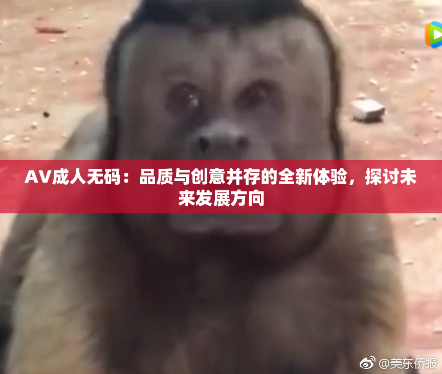 AV成人无码：品质与创意并存的全新体验，探讨未来发展方向