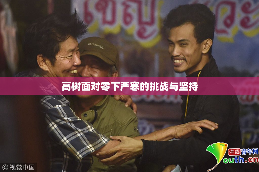 高树面对零下严寒的挑战与坚持