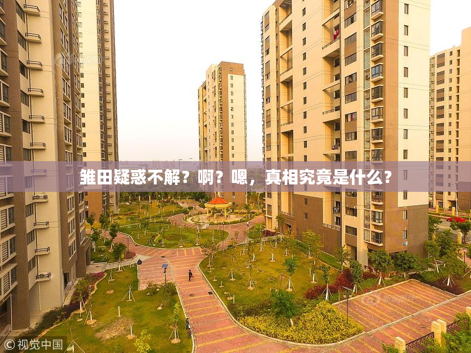 雏田疑惑不解？啊？嗯，真相究竟是什么？