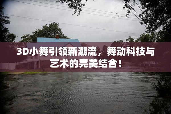 3D小舞引领新潮流，舞动科技与艺术的完美结合！
