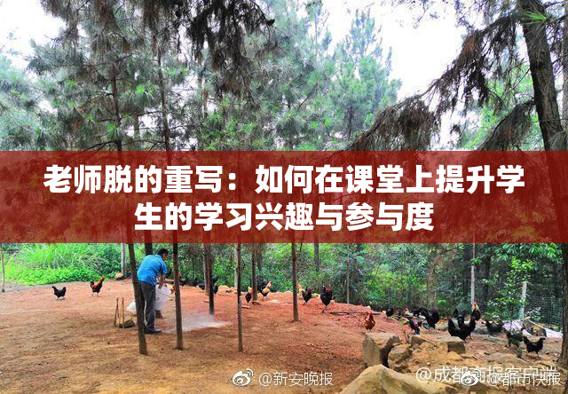 老师脱的重写：如何在课堂上提升学生的学习兴趣与参与度