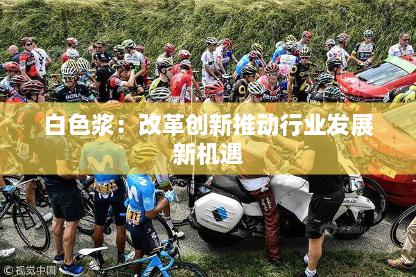 白色浆：改革创新推动行业发展新机遇