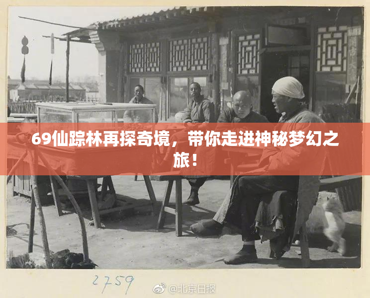 69仙踪林再探奇境，带你走进神秘梦幻之旅！