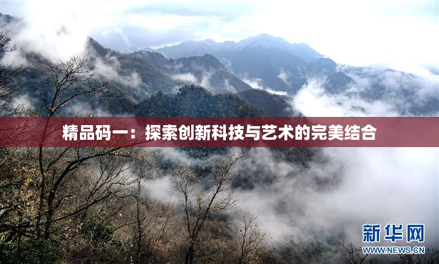 精品码一：探索创新科技与艺术的完美结合