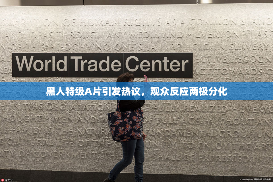 黑人特级A片引发热议，观众反应两极分化