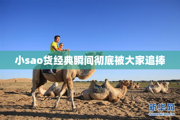 小sao货经典瞬间彻底被大家追捧