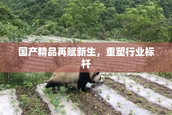 国产精品再赋新生，重塑行业标杆