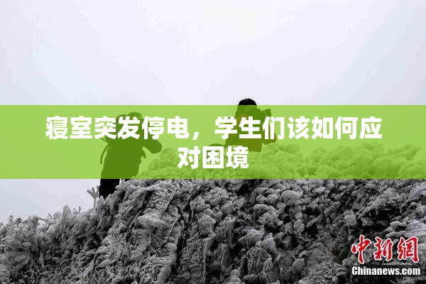 寝室突发停电，学生们该如何应对困境