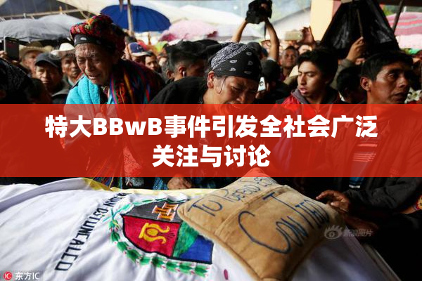 特大BBwB事件引发全社会广泛关注与讨论