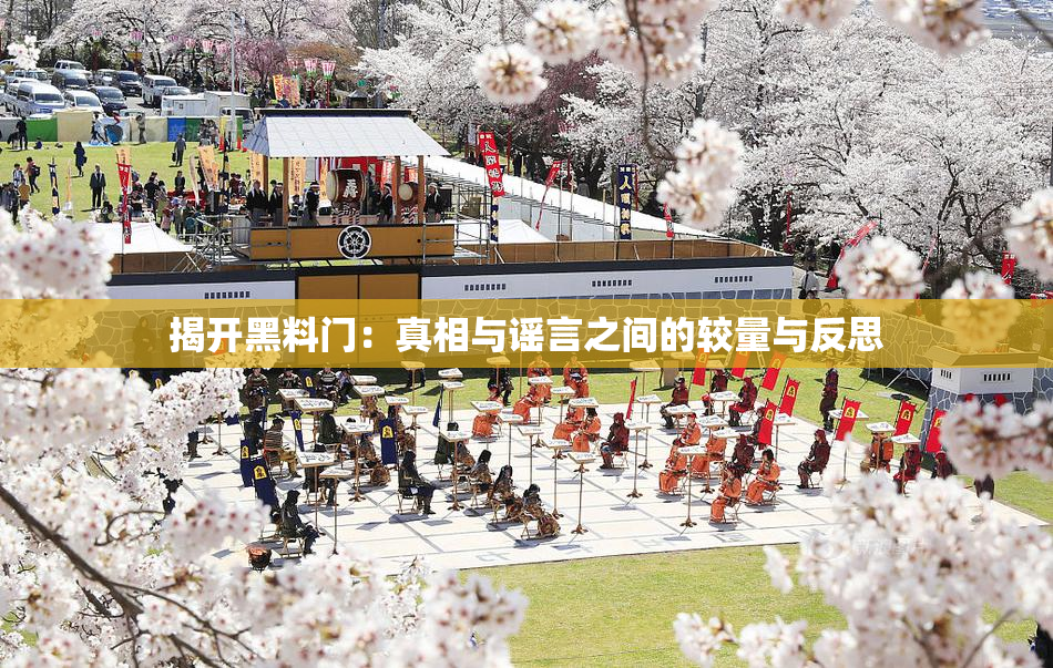 揭开黑料门：真相与谣言之间的较量与反思