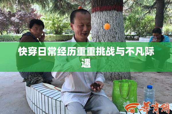 快穿日常经历重重挑战与不凡际遇