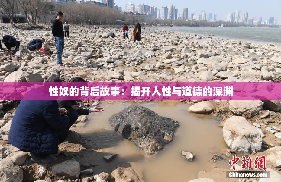 性奴的背后故事：揭开人性与道德的深渊