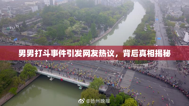 男男打斗事件引发网友热议，背后真相揭秘