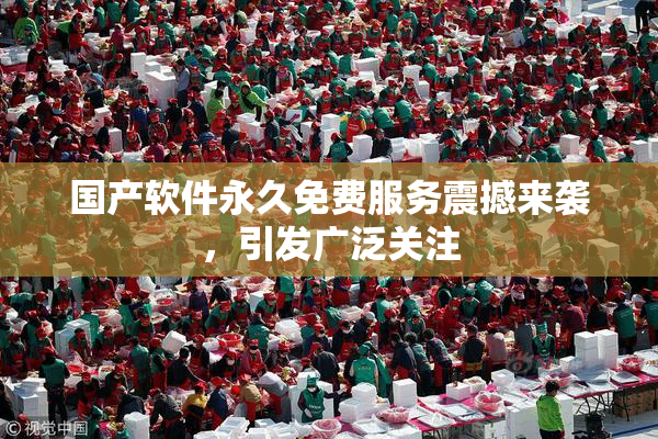 国产软件永久免费服务震撼来袭，引发广泛关注