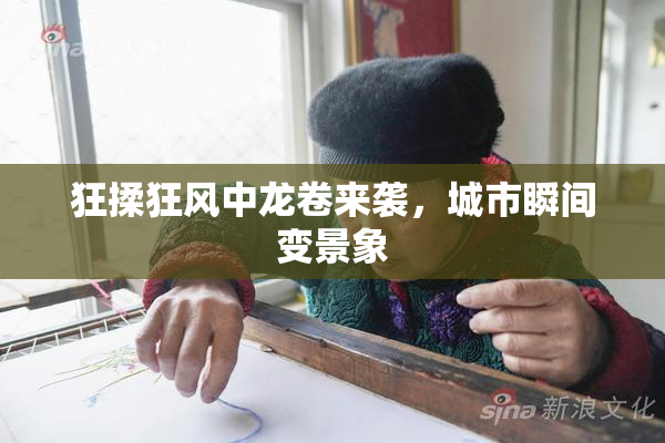 狂揉狂风中龙卷来袭，城市瞬间变景象