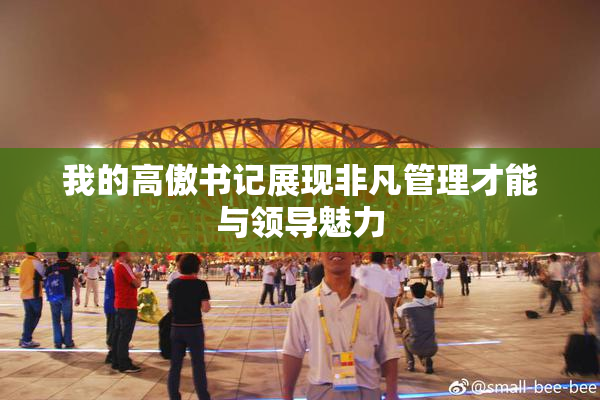 我的高傲书记展现非凡管理才能与领导魅力