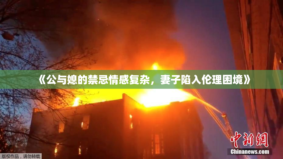 《公与媳的禁忌情感复杂，妻子陷入伦理困境》