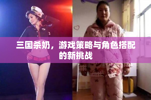 三国杀奶，游戏策略与角色搭配的新挑战