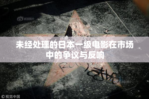 未经处理的日本一级电影在市场中的争议与反响