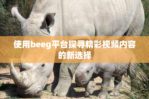 使用beeg平台探寻精彩视频内容的新选择