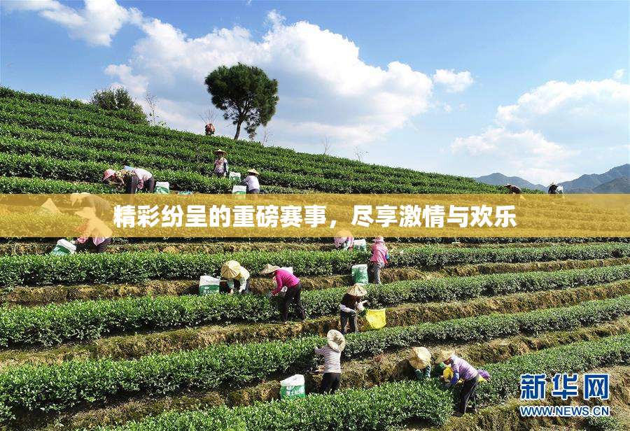 精彩纷呈的重磅赛事，尽享激情与欢乐