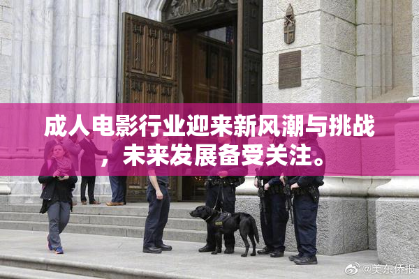 成人电影行业迎来新风潮与挑战，未来发展备受关注。