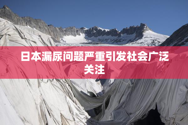 日本漏尿问题严重引发社会广泛关注