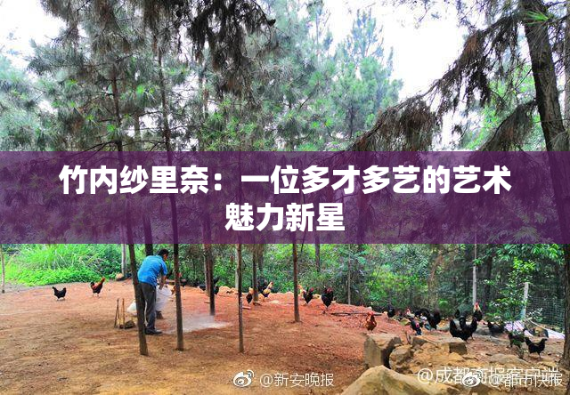 竹内纱里奈：一位多才多艺的艺术魅力新星
