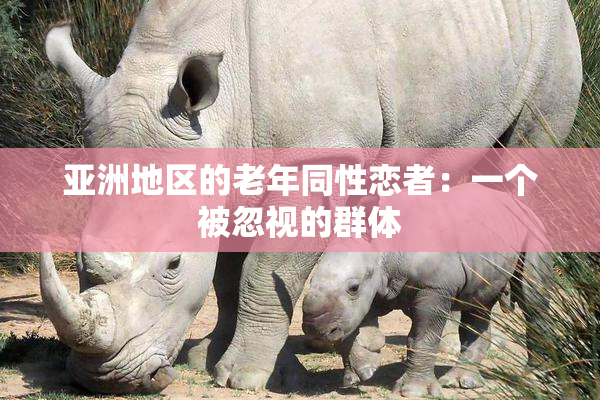 亚洲地区的老年同性恋者：一个被忽视的群体