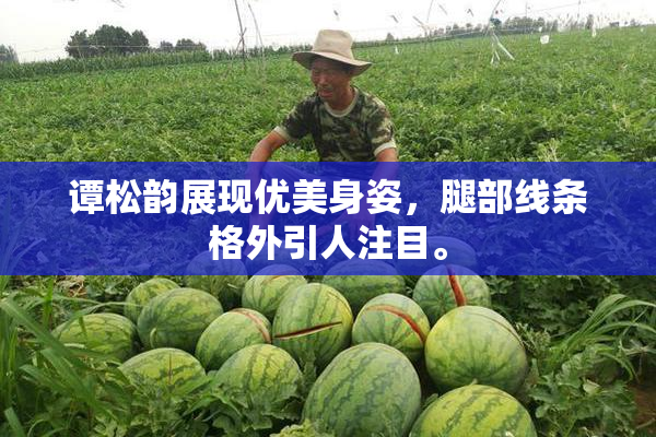 谭松韵展现优美身姿，腿部线条格外引人注目。
