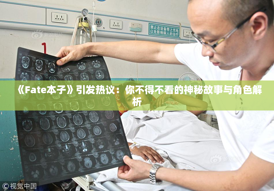 《Fate本子》引发热议：你不得不看的神秘故事与角色解析