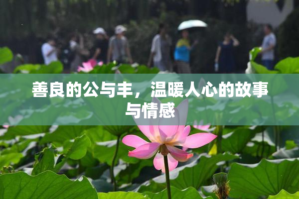 善良的公与丰，温暖人心的故事与情感