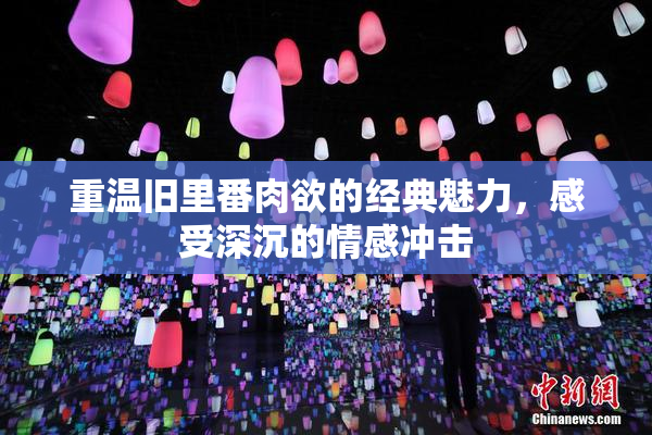 重温旧里番肉欲的经典魅力，感受深沉的情感冲击