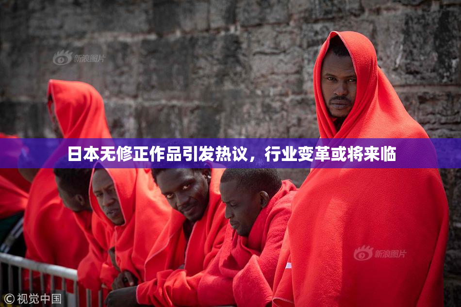 日本无修正作品引发热议，行业变革或将来临