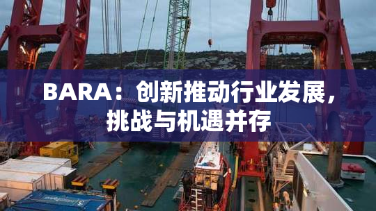BARA：创新推动行业发展，挑战与机遇并存
