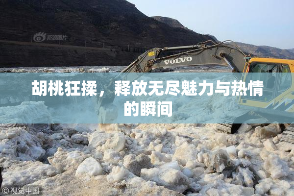 胡桃狂揉，释放无尽魅力与热情的瞬间
