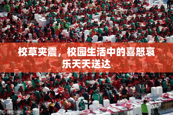 校草夹震，校园生活中的喜怒哀乐天天送达