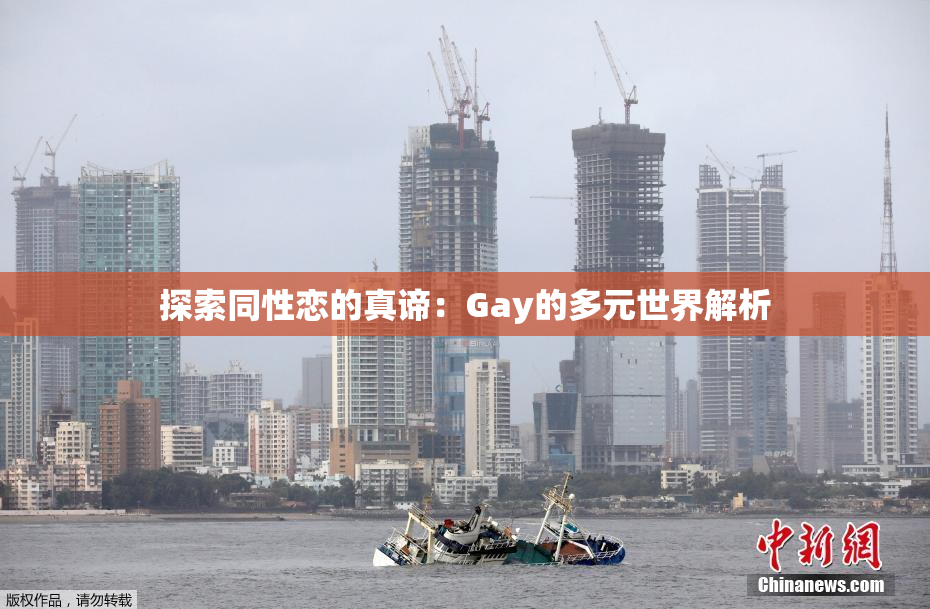 探索同性恋的真谛：Gay的多元世界解析