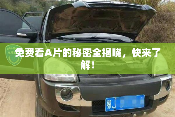 免费看A片的秘密全揭晓，快来了解！