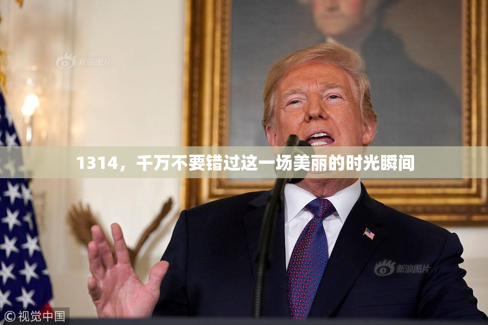 1314，千万不要错过这一场美丽的时光瞬间